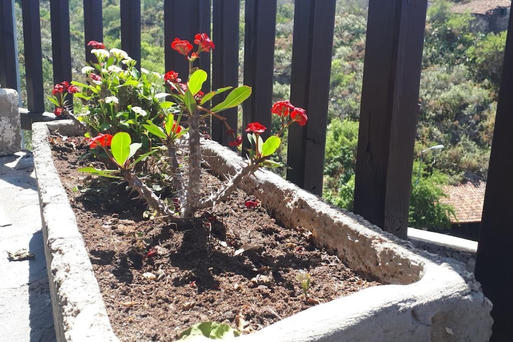 Vila Casa Tia Rosa. Costa Adeje  Exteriér fotografie